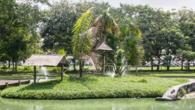 Photo of Estação, Mangal e Utinga são opções de lazer neste feriado
