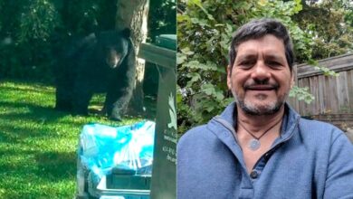 Photo of Paraense é surpreendido por urso ao fazer entrega no Canadá