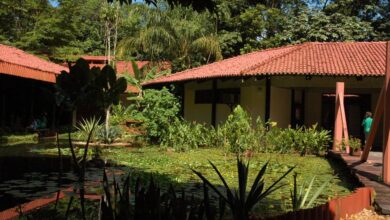 Photo of Escola Bosque retoma aulas presenciais a partir de hoje, dia 20
