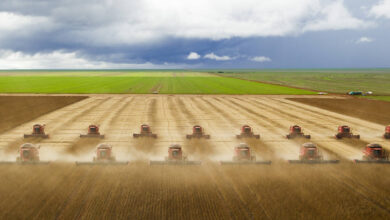 Photo of Pará poderá fazer parte do MAPITOBA