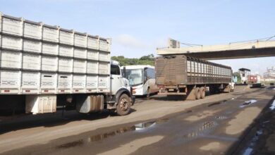 Photo of Setor madeireiro alega prejuízo após liminar do STF e ameaça entrar em greve