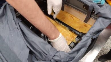 Photo of Paraense é presa com 4,2 kg de MDMA na bagagem; Ela vinha de um voo do México