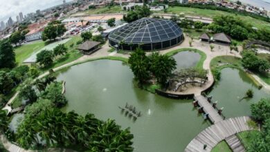 Photo of Estação, Mangal e Parque do Utinga terão horário especial na semana do Círio 2021