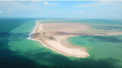 Photo of Uma praia caribenha no litoral do Pará que se forma quando a maré está baixa