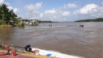 Photo of Mar avança no Rio Amazonas e ribeirinhos de arquipélago ficam sem água potável: ‘não presta nem para beber’