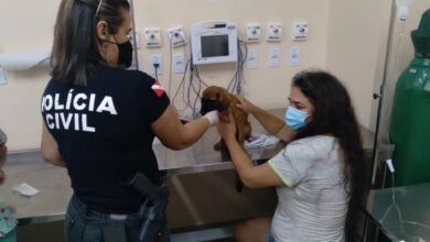 Photo of Cadeia: PC prende homem que cortou rabo de cachorro com faca