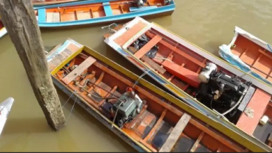 Photo of Projeto obriga fabricantes a comercializar novas embarcações com acessório antiescalpelamento