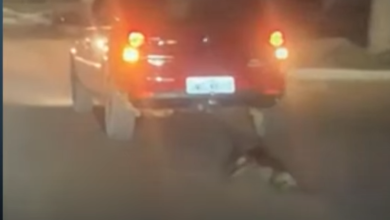 Photo of Liberado motorista que arrastou cachorro pelas ruas de Uruará