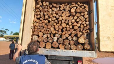 Photo of Sefa apreende 500 estacas de madeira sem nota fiscal em Tucuruí
