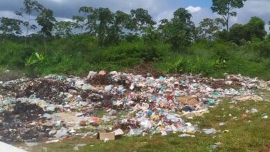 Photo of Prefeitura de Garrafão do Norte instala lixão dentro de terra indígena Alto Rio Guamá