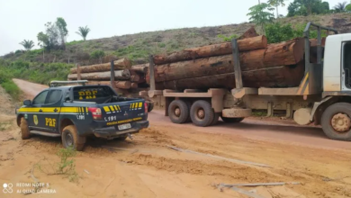 Photo of PRF apreende caminhão com carregamento ilegal de madeira na BR-422