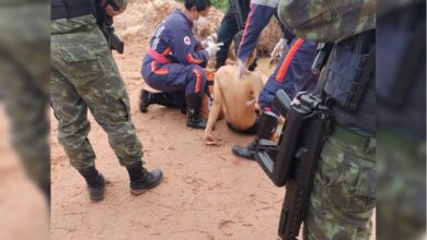 Photo of Adolescente leva tiro durante intervenção policial em Santarém