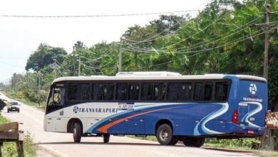 Photo of Ônibus da empresa Transarapari é assaltado por quatro criminosos na rodovia PA-151