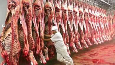 Photo of Entre janeiro e novembro, exportações paraense batem recordes e crescem 47%