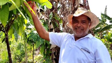 Photo of Agricultor familiar paraense conquista prêmio internacional de cacau em Paris
