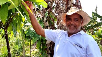 Photo of Produtor de cacau do Pará concorre a prêmio de melhor amêndoa do mundo