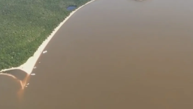 Photo of MPF aciona Ibama e secretaria do Pará sobre água escura em Alter do Chão