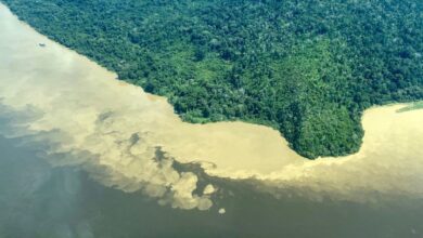 Photo of Garimpo pode ser responsável por água escura em Alter do Chão