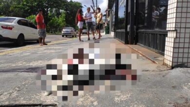 Photo of Cabo que matou cachorro, em Belém, é expulso da Polícia Militar