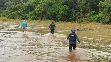 Photo of Mais de 4 toneladas de pescado são apreendidas durante o defeso no Lago de Tucuruí