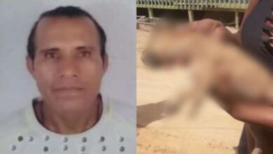Photo of Homem é preso após matar filhote de cachorro a pauladas em Bragança