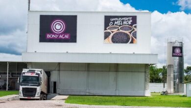 Photo of Bony Açaí quer levar o verdadeiro açaí para o Emirados Árabes