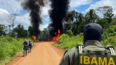Photo of Garimpeiros fazem levante no Pará e bloqueiam sede do ICMBio