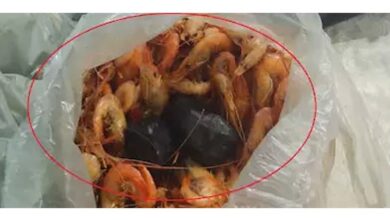 Photo of Tempero diferente? Camarão recheado com droga é apreendido por Policiais Militares em Itaituba
