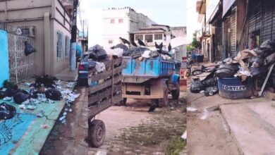 Photo of Cidade de Limoeiro do Ajuru sofre com acúmulo de lixo nas ruas