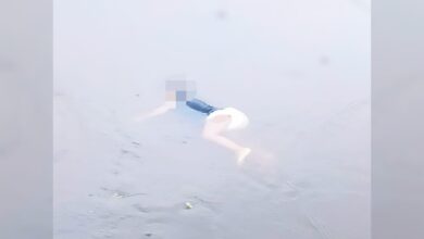 Photo of Marajó: Bebê morre afogado após mãe fugir de tentativa de feminicídio do pai.