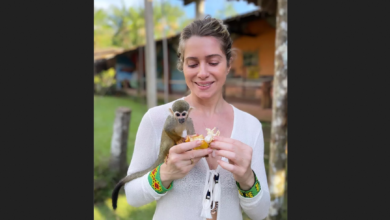Photo of Letícia Spiller alimenta macaco no Combu: ‘Sexta da Paixão com meu amigo Chico’
