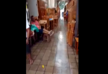 Photo of VÍDEO: Trabalhador faz desabafo após chuva alagar Mercado de São Brás