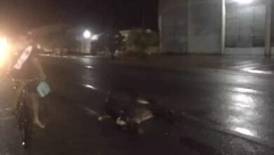Photo of Em Castanhal, vaca atropelada é retalhada por populares