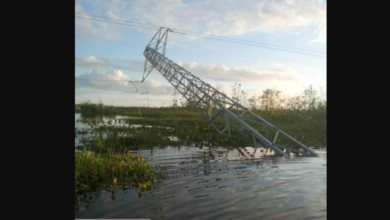 Photo of Município de Almeirim está sem energia elétrica há três dias