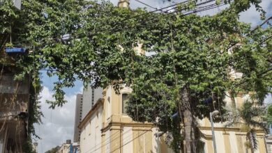 Photo of Vegetação toma conta de fiação elétrica na frente de igreja histórica de Belém