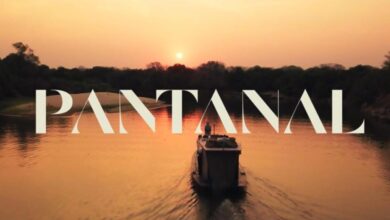 Photo of Com Pantanal fazendo sucesso, Globo bate recorde e arrecada R$3 bilhões no 1º trimestre