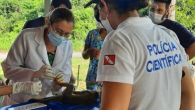 Photo of Polícia Científica analisa morte de macacos do Bosque