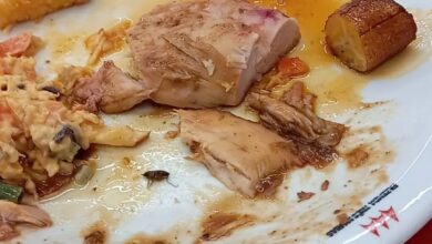 Photo of Homem tem infecção intestinal após comer prato com barata no Líder Cidade Nova