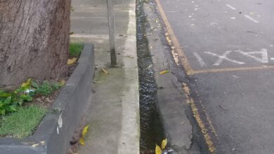 Photo of Apenas 3,61% do esgoto produzido em Belém é tratado, diz pesquisa