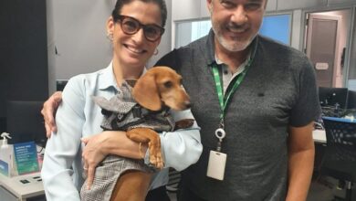 Photo of Sucesso na internet, cachorrinho paraense invade bastidores do JN