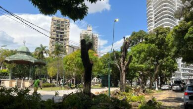 Photo of “Poda” de mangueiras na praça da República compromete túnel símbolo de Belém