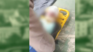 Photo of Em Belém, portão da escola municipal Paulo Freire cai e causa fratura no crânio de estudante