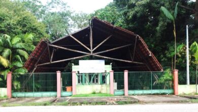 Photo of Belém abandonada: Parque municipal Gunnar Vingren é alvo de retirada ilegal de madeira