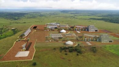 Photo of Horizonte Minerals já soma US$ 239 milhões em investimentos para o Projeto Araguaia, no Pará