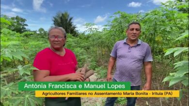 Photo of Pará é o estado mais beneficiado com títulos de terra dado pelo INCRA