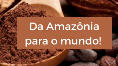 Photo of Chocolates produzidos no Pará chamam atenção do mundo