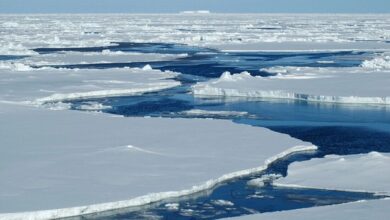 Photo of Estudo aponta que próxima pandemia pode ser provocada por degelo das calotas polares