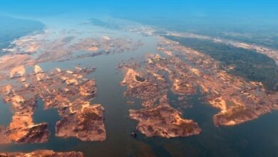 Photo of Ibama concede Licença prévia para derrocamento do Pedral do Lourenço