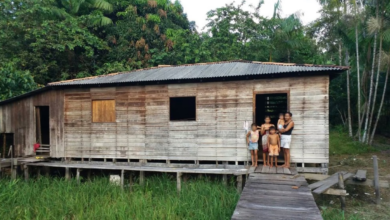 Photo of Multinacionais lucram com discurso ambiental, enquanto ribeirinhos do PA vivem na extrema pobreza