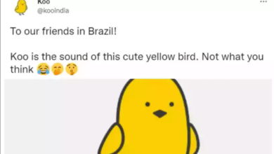 Photo of Possível sucessor do Twitter, Koo brinca com nome: ‘Não é o que você pensa’